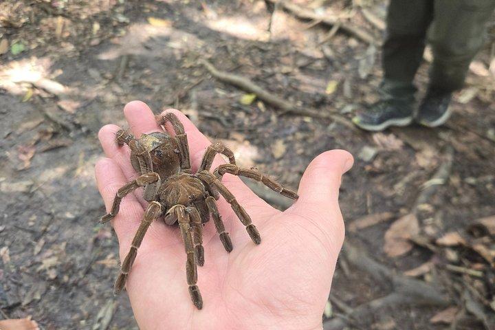 現地ガイドとアマゾンを巡る文化小旅行