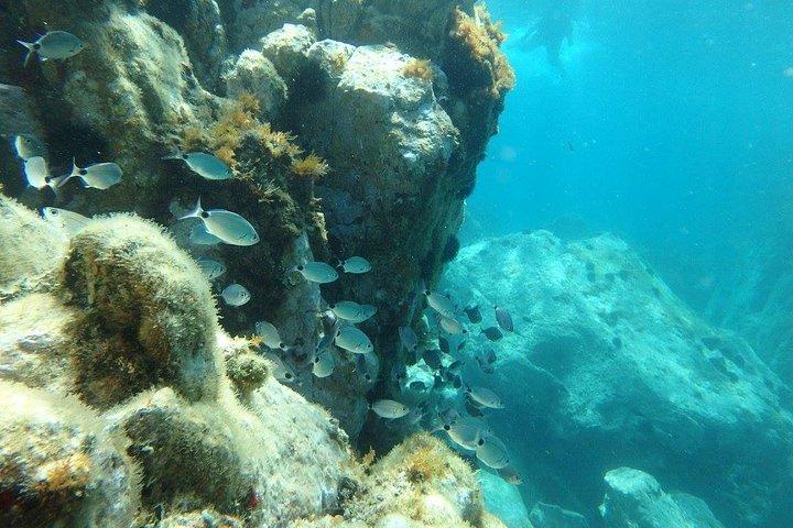 Costa Brava Tour : Kajak-, Schnorchel- und Klippensprung ab Barcelona
