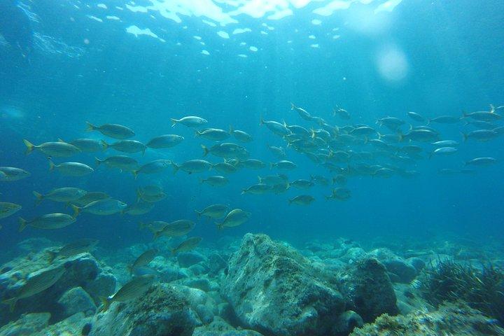 Costa Brava Tour : Kajak-, Schnorchel- und Klippensprung ab Barcelona