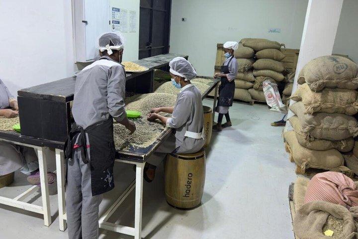 Äthiopien Kaffee Tour Erfahrung