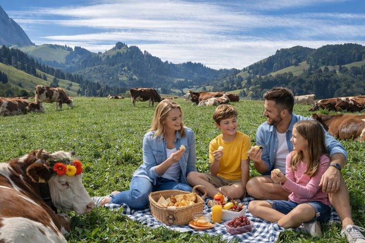 ジュネーヴ発グリュイエールチーズ＆チョコレートツアー（現地ホスト付き）