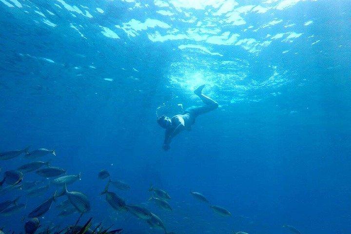 Costa Brava Tour : Kajak-, Schnorchel- und Klippensprung ab Barcelona