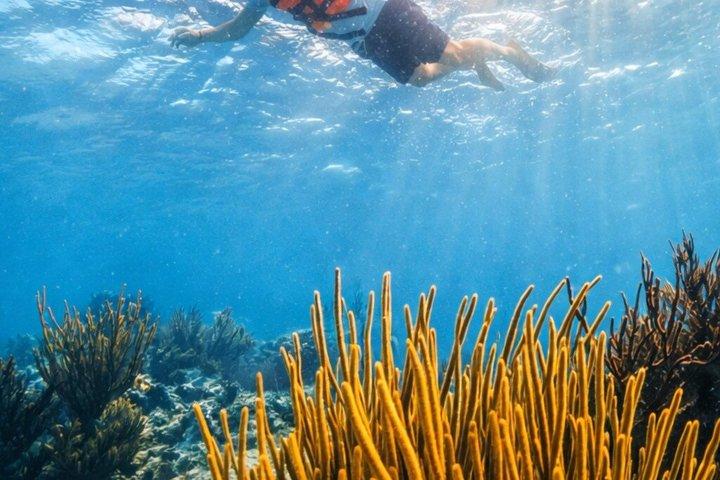 Tulum, Reef Snorkeling, Cenote & Cerimonia Maya