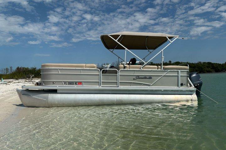St. Pete Private Sandbar & Delfinbeobachtungsinsel Abenteuer
