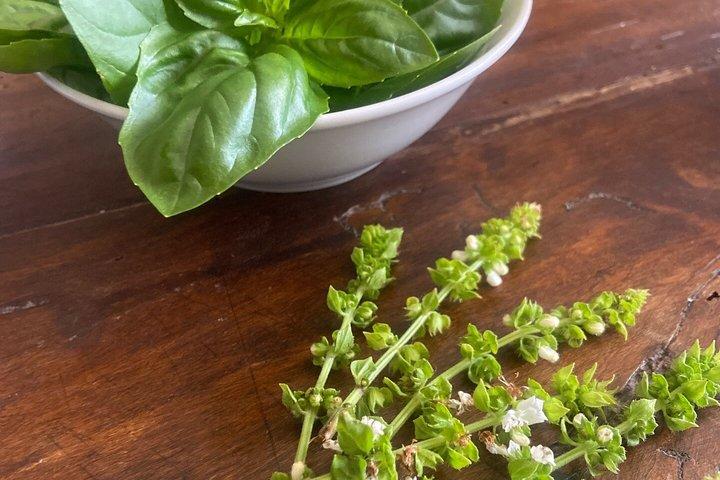 チンクエ・テッレ : マナローラで本格ペシュト料理教室＆ワイン