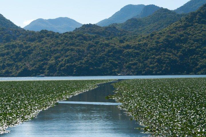 ヴィルパザル・スカダル湖ボートツアー(野生動物と自然)