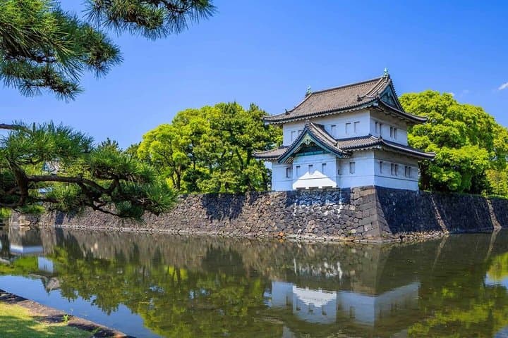 Tokyo Castle & Imperial Palace - Shogun Walking Tour