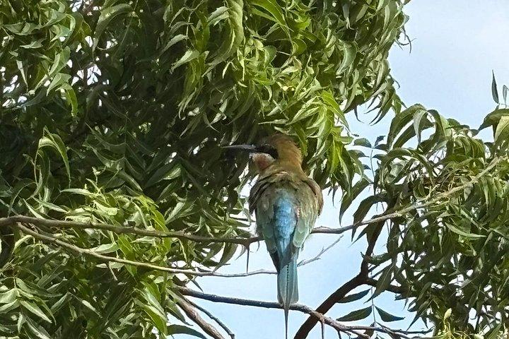 ウダワラワ国立公園サファリアウンガラ,コスゴダ,ベントタ,ベルワラ