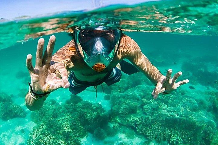 Tavolara Boat Tour and Snorkeling