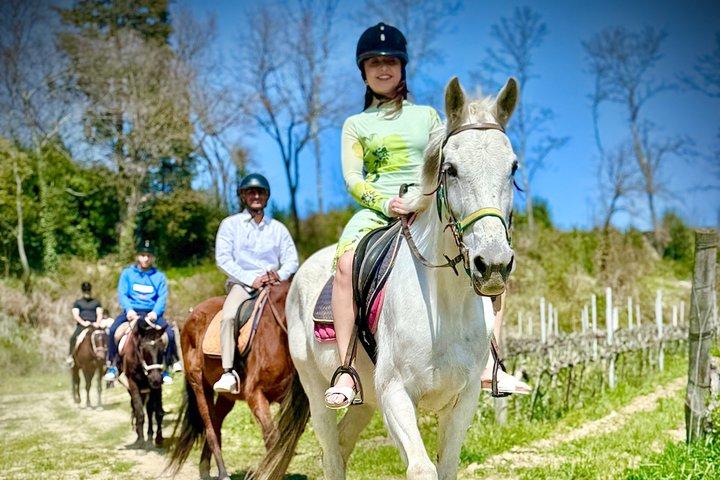 乗馬、訪問S.ジミニャーノ、ランチワイン試飲＆はるかに多く