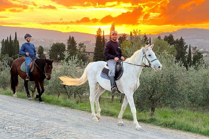 少人数乗馬ワインツアー、サン・ジミニャーノ、ランチ