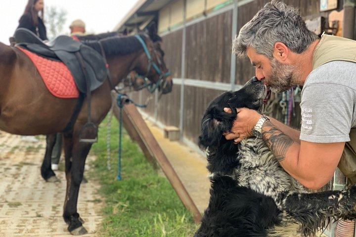 少人数乗馬ワインツアー、サン・ジミニャーノ、ランチ
