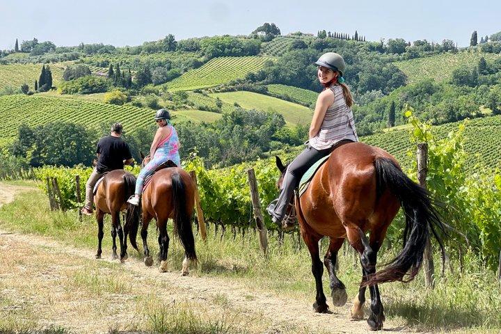 Paardrijden, bezoek S.Gimignano, Lunch wijnproeverij & veel meer