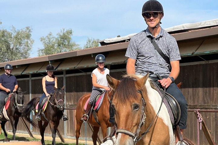 少人数乗馬ワインツアー、サン・ジミニャーノ、ランチ