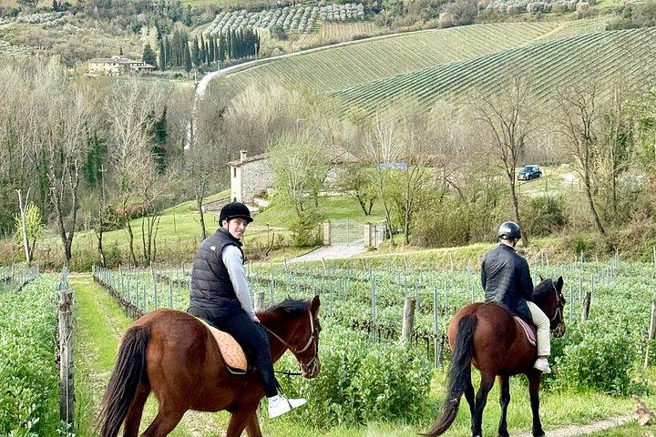 乗馬、訪問S.ジミニャーノ、ランチワイン試飲＆はるかに多く