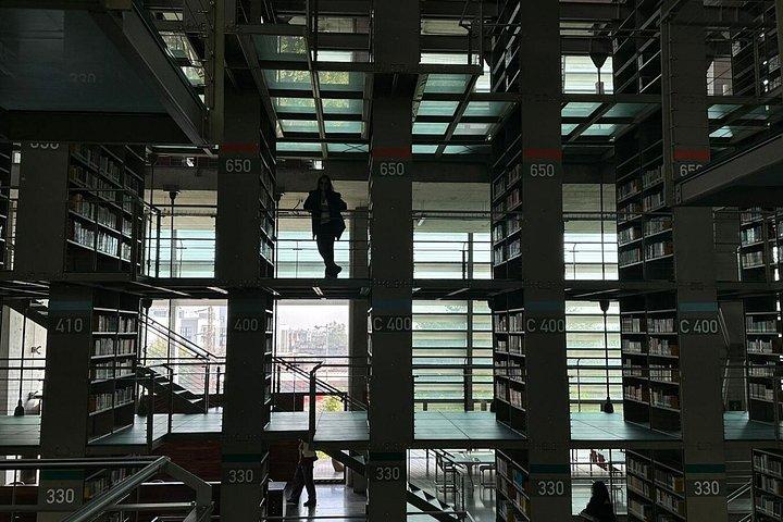 Vasconcelos Library and Santa Maria la Ribera