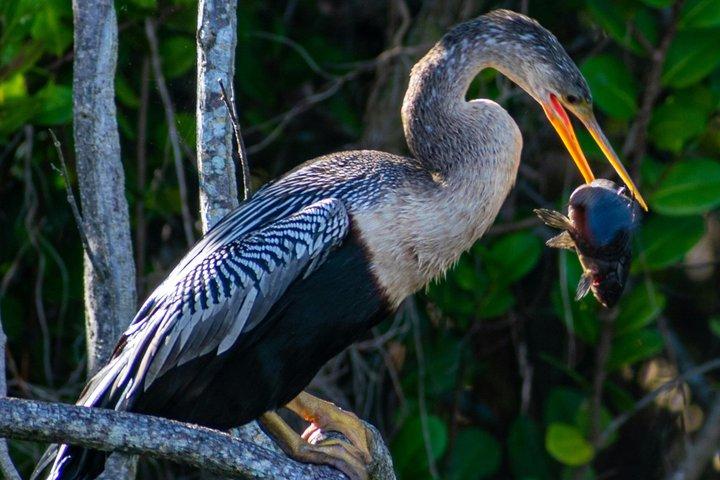 2 - Visite guidée d'une journée dans la jungle au départ d'Iquitos