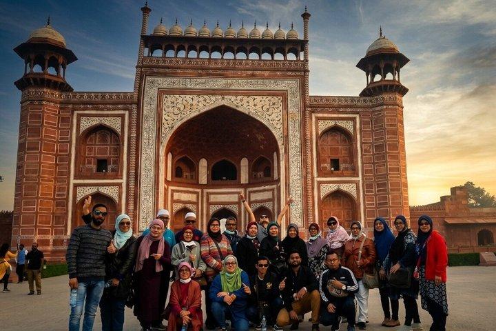 Tour del Taj Mahal con il centro di conservazione degli elefanti e degli orsi da Delhi