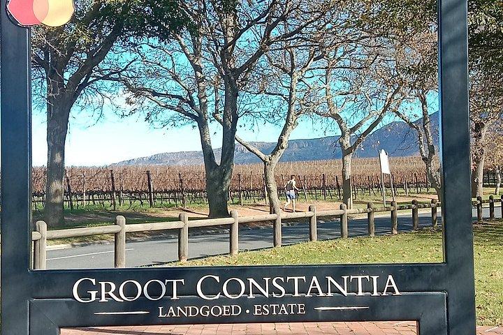 Table Mountain and Kirstenbosch with Constantia Wine Tasting