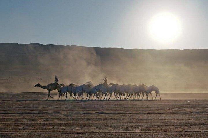 ワヒバ砂漠でのプライベート乗馬とサンセットウォッチ