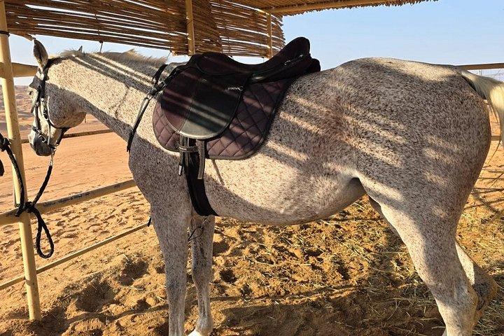 ワヒバ砂漠でのプライベート乗馬とサンセットウォッチ