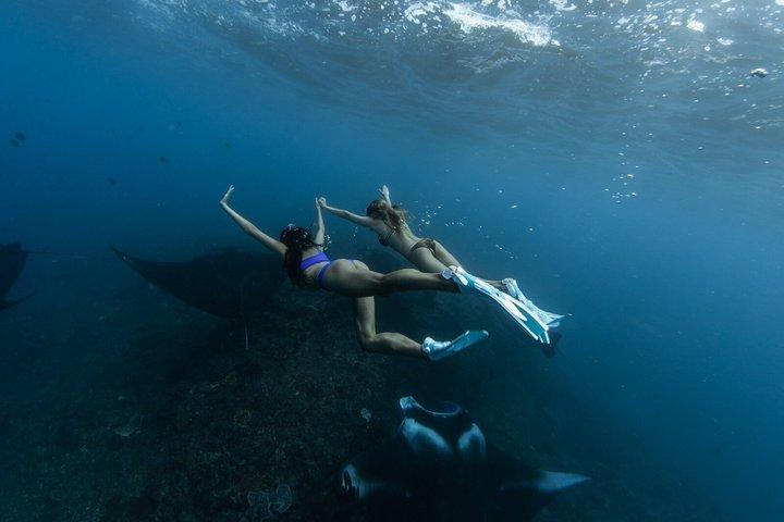 Nusa Penida Premium Day von Bali : Manta Rays, Yacht & Landtour