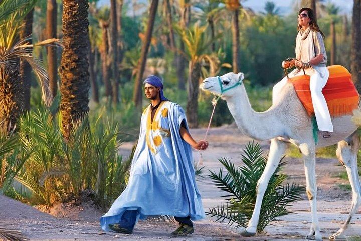 Camel Ride in the Marrakech Palm Grove