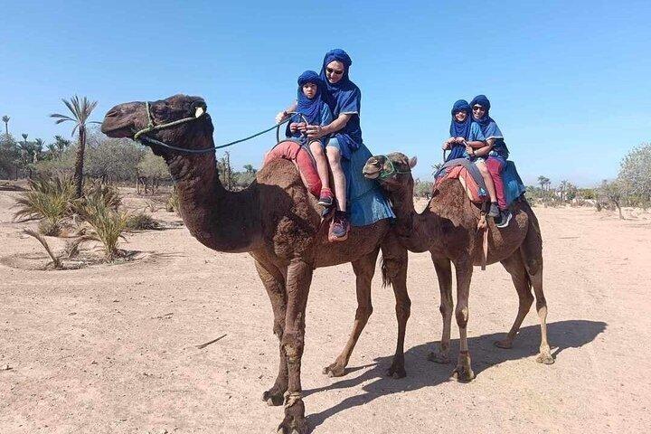 Camel Ride in the Marrakech Palm Grove