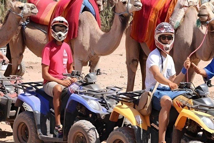 Camel Ride in the Marrakech Palm Grove