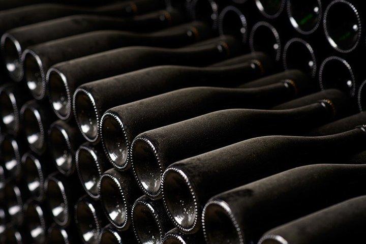Champagne Régis Poissinet, Visita à Adega e Degustação