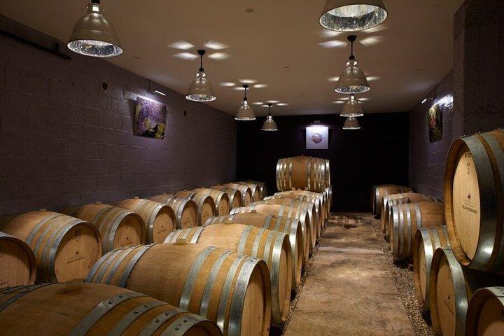 Champagne Régis Poissinet, Visita à Adega e Degustação
