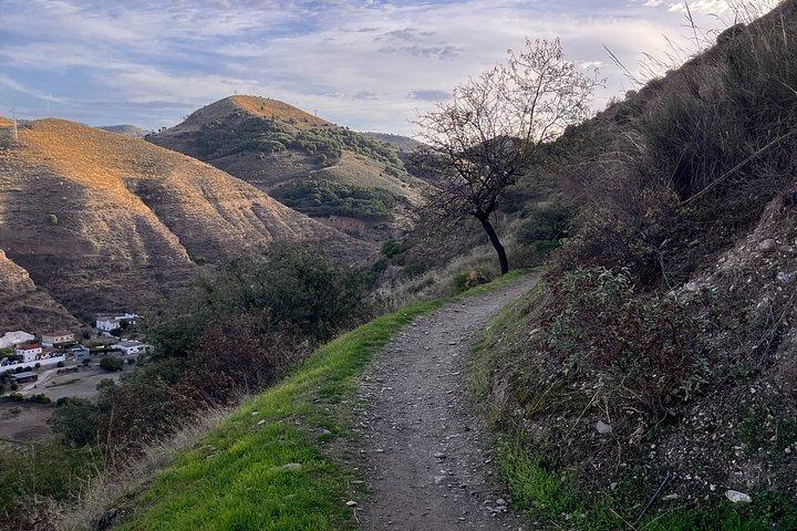 City to Trail Running Experience