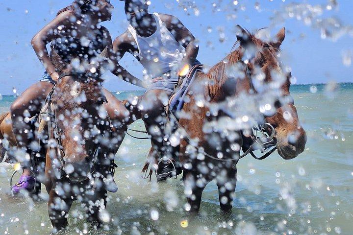 終日クリアカヤック撮影と乗馬とブルーホール