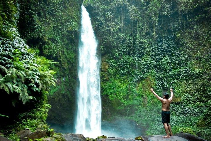 Descubra lo mejor de Ubud – Excursión guiada privada