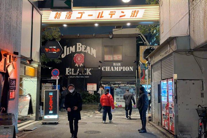 英語ガイド付き東京完全カスタムプライベートナイトツアー