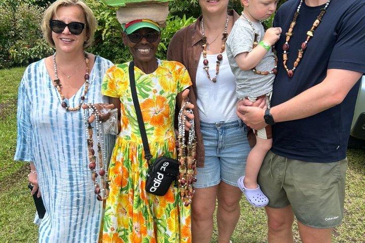 Il meglio di Grenada: cascate, cioccolato, rum e tour della foresta pluviale