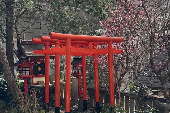 あなたのウォーク&トーク:プライベート東京体験