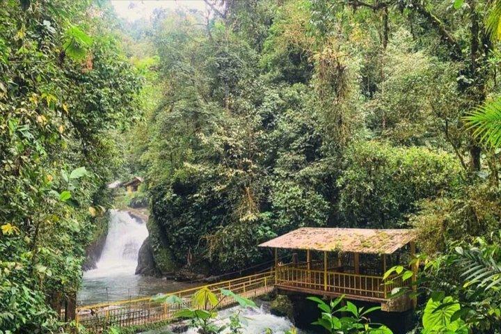 Mindo Cloud Forest Private Tour Nature wildlife Experience