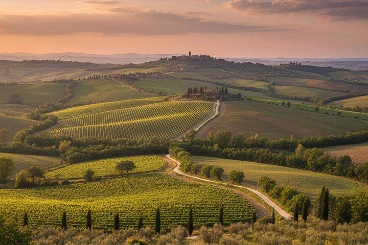 Transfert privé de Rome FCO à Florence avec Orvieto Stop
