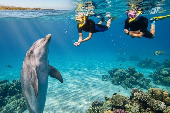 Hurghada Dolphin House Aventura
