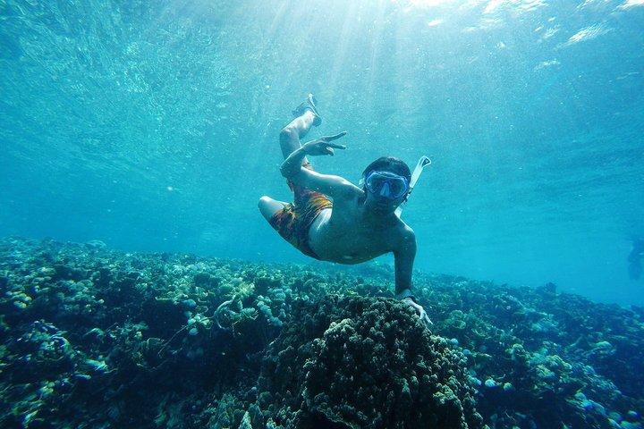 Hurghada Dolphin House Adventure