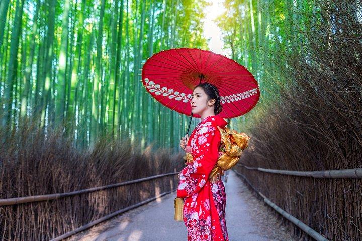 英語ドライバー付き京都プライベート全日ツアー