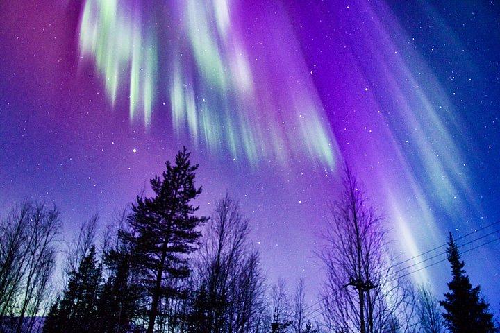 リヴァイ北極夕暮れ体験コタディナーとオーロラ