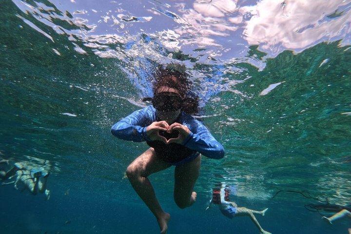 コスメル島のエル・シエロビーチでのシュノーケリングツアー（グループ参加）