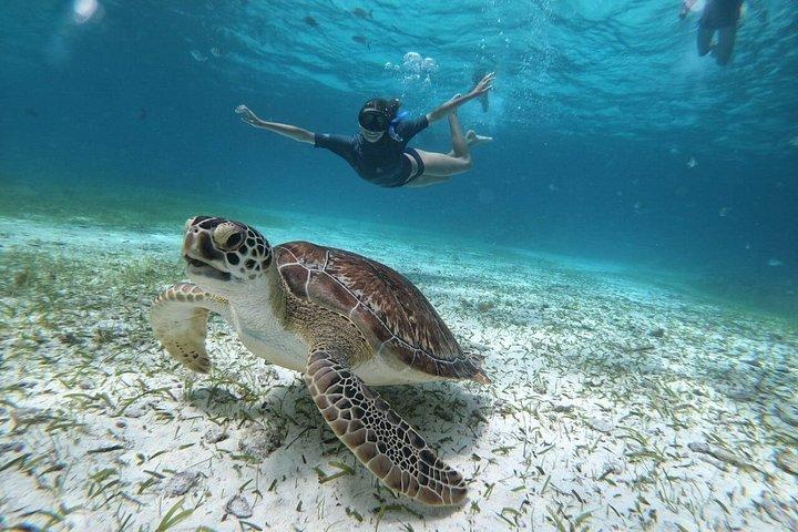 Snorkeling Shared Sky Tour in Cozumel with C