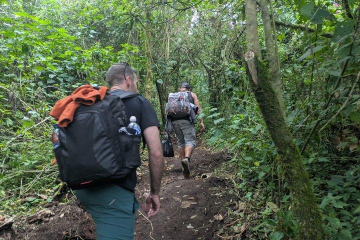 Tour de dos días al Volcán de Acatenango
