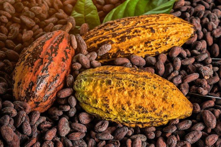 Chocolate Making and Rum Tasting Tour with Lunch in Soufriere