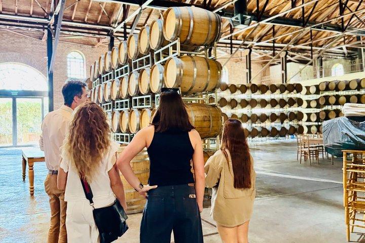 Private Uco Valley Wine Tour:3 Wineries, Malbec Tasting &Transfer