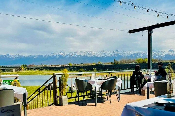 Private Uco Valley Wine Tour:3 Wineries, Malbec Tasting &Transfer