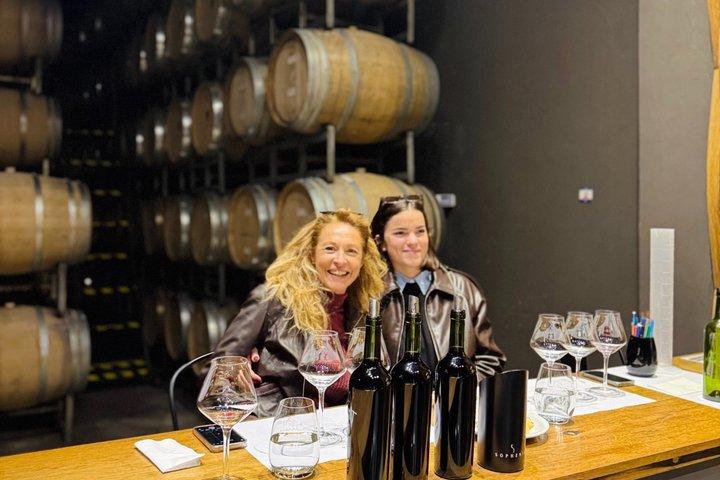 Private Uco Valley Wine Tour:3 Wineries, Malbec Tasting &Transfer